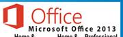 Microsoft Office 2013 Professional FPP-Each