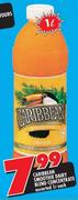 Caribbean Smoothie Dairy Blend Concentrate-1Ltr