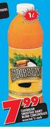 Caribbean Smoothie Dairy Blend Concentrate Assorted- 1L 
