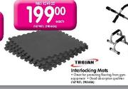 Trojan Interlocking Mats-Each