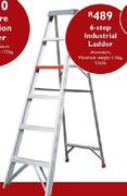 6-Step Industrial Ladder