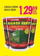 Canada Green Grass Seeds-Per Pack