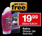 Radox Shower Gel-250ml Each