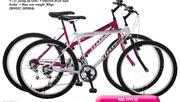 Totem Ladies or Mens XC100 Mountain Bikes