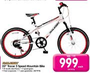Raleigh 20" Tracer 5 Speed Mountain Bike Each