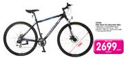 Totem 29er Race Pro Mountain Bike