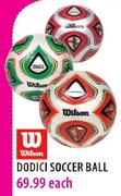 Wiloon Dodici Soccer Ball Each