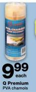 Q Premium Pva Chamois-Each
