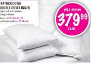 Feather Down Queen Duvet Inner-Each