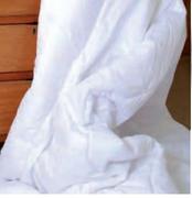 Golden Collection Conti Pillow Duvet Inner-Each