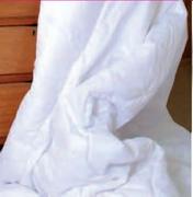 Golden Collection Standard Pillow Duvet Inner-Each