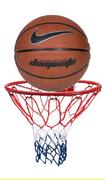 Dominate Basketball