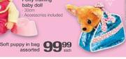 Soft Puppy In Bag Assorted Each