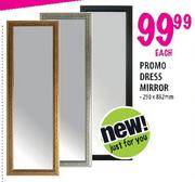 Promo Dress Mirror-290x882mm Each