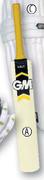 GM Halo Cricket Bat