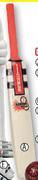 Gray-Nicolls Kaboom Cricket Bat
