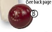 Gray-Nicolls Demon Cricket Ball