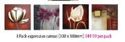 3 Pack Expression Canvas-300x300mm