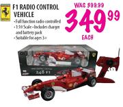 F1 Radio Control Vehicle-each