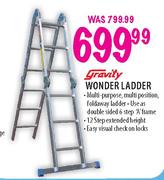 Gravity Wonder Ladder