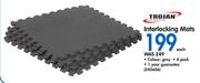 Trojan Interloking Mats Each
