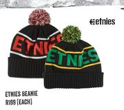 Etnies Beanie-Each