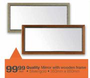 Quality Mirror With Wooden Frame-350mmx850mm
