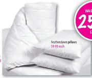 Double Featherdown Duvet Inner-Each