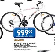 Raleigh 24" Or 26" Rack 10 Mens Or Ladies Mountain Bike Each