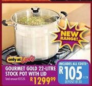 Gourmet Gold 22-Litre Stock Pot With Lid