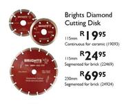 Brights Diamond Cutting Disk Segmented For Brick-230mm