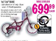 RALEIGH 16"/20" BMX Each