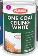 Plascon One Coat Ceiling White-5L Each