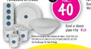 Melamine Bowl Or Dinner Plate-4's