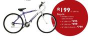 Bicycle 20"