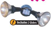 Security Light Par 38