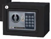Standard Digital Safe