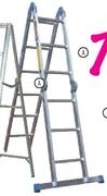 Gravity Wonder Ladder