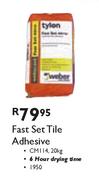 Fast Set Tile Adhesive-20kg