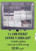 2x20W Energy Saving Floodlight-Each
