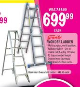 Gravity Aluminium Household Ladder