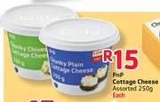 PnP Cottage Cheese-250G Each
