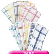 Caterers Choice 10 Pack Dish Swabs