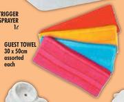 Guest Towel Assorted-30 x 50cm Each 