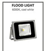 Flood Light 10W