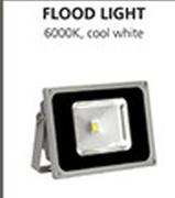 Flood Light 20W