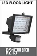 LED Flood Light