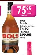 Bols Brandy-1x750ml