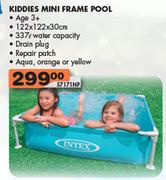 Kiddies Mini Frame Pool