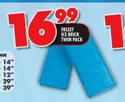 Frizet Ice Brick Twin Pack